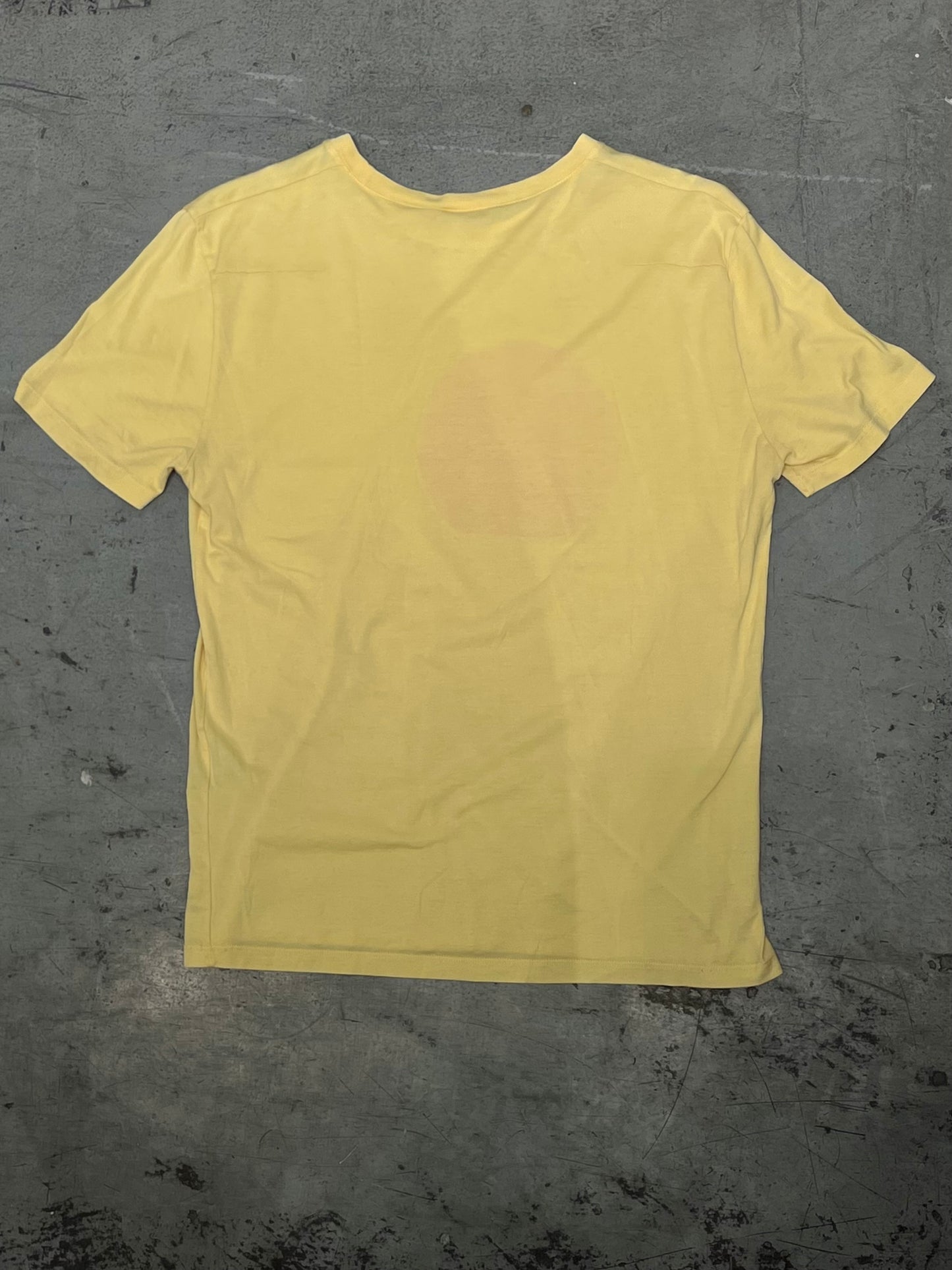DIOR SS06 by Hedi Slimane “We Stole The Burning Sun” T-Shirt