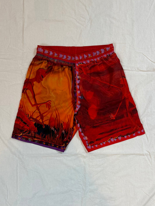 Givenchy Josh Smith Swim Shorts